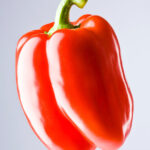 Semillas Pimiento Maor Batlle