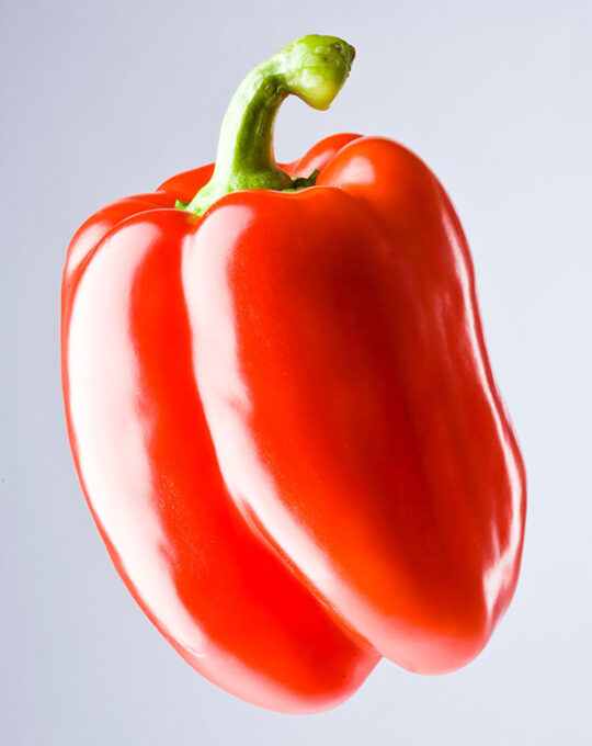 semillas-pimiento-maor-batlle-1
