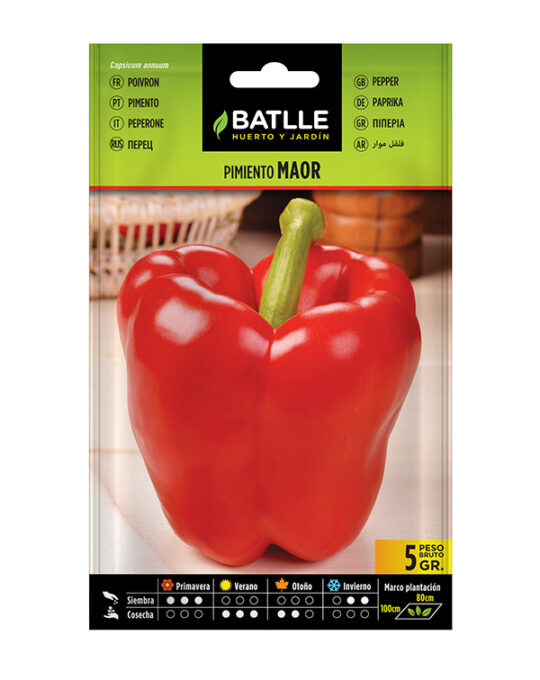 semillas-pimiento-maor-batlle