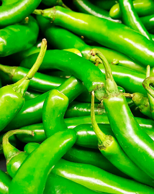 semillas-pimiento-serrano-batlle-1