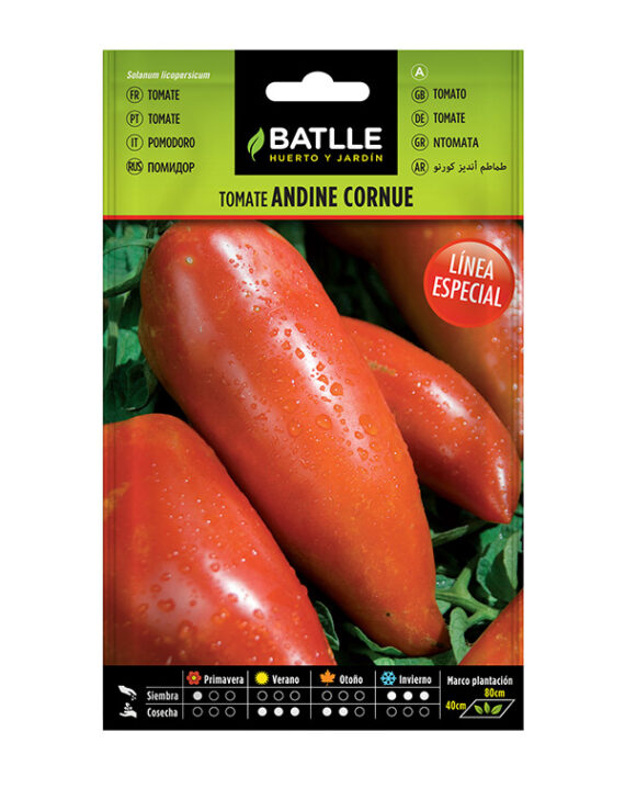 Semillas Tomate Andine Cornue