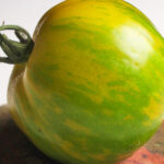 Semillas Tomate Green Zebra
