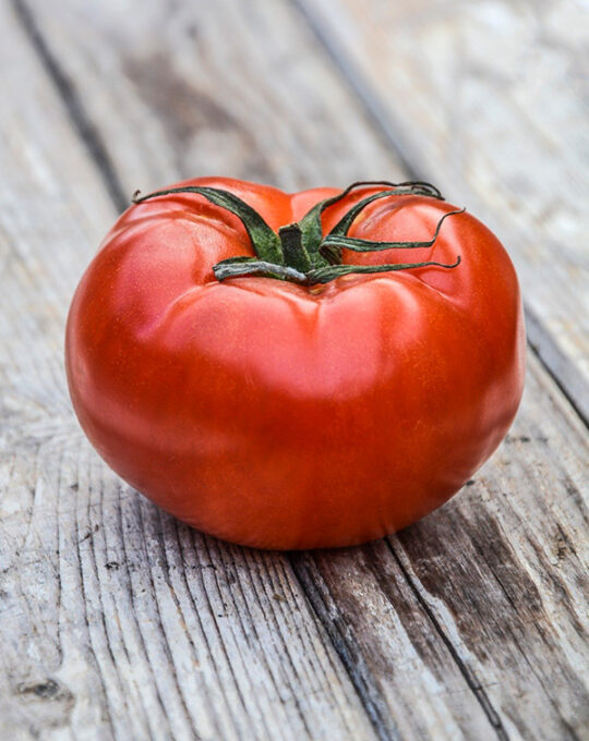 semillas-tomate-marmande-vr-batlle-1