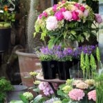 Abono Líquido para Plantas de Flor Vilmorin