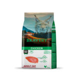Bravery Adult Cat Pollo