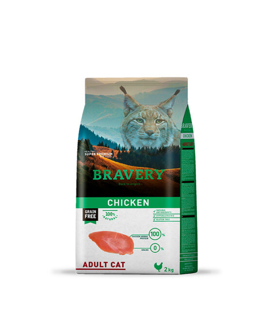 bravery-adult-cat-pollo