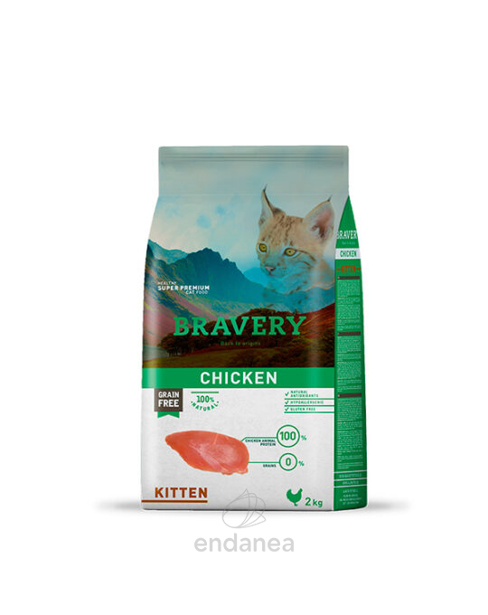 bravery-kitten-pollo