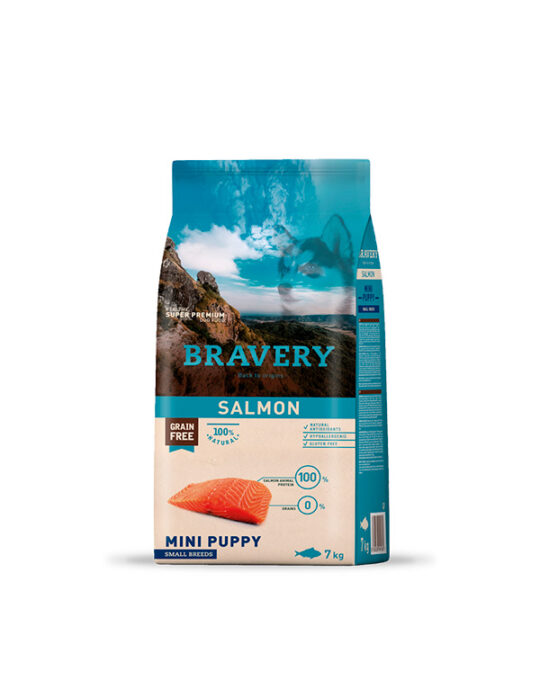 bravery-mini-puppy-salmon