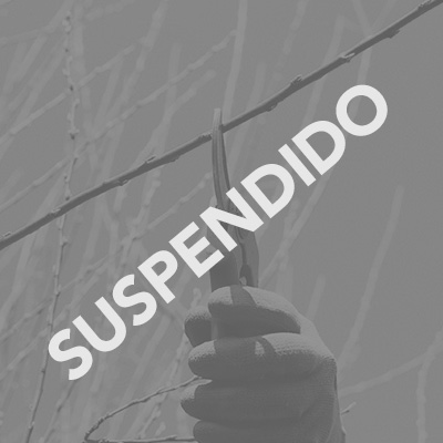 CURSO SUSPENDIDO