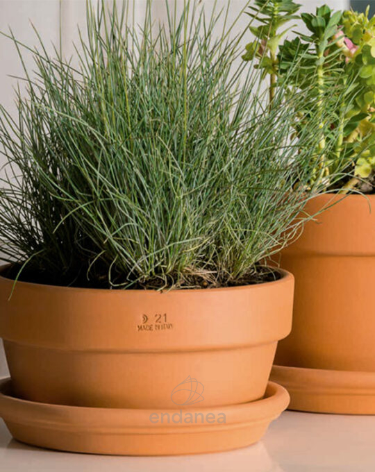 plato-de-barro-para-maceta-plantas