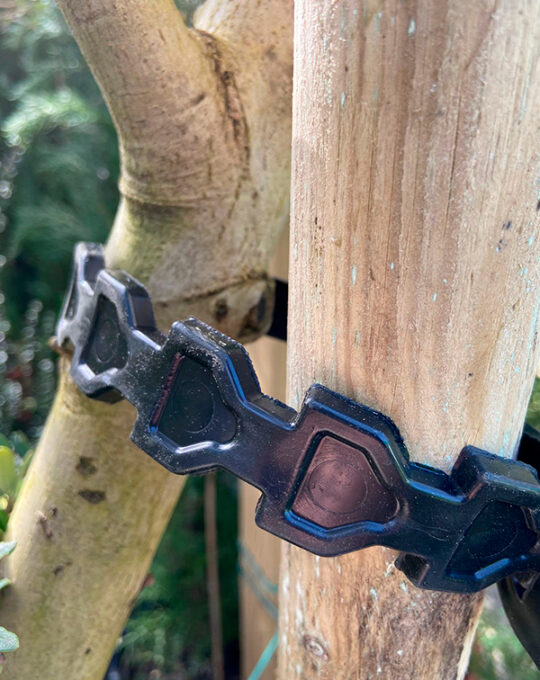 abrazadera-de-plastico-para-arbol-tutor