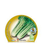 Apio Planta 6 unidades Fitoralia Etiqueta