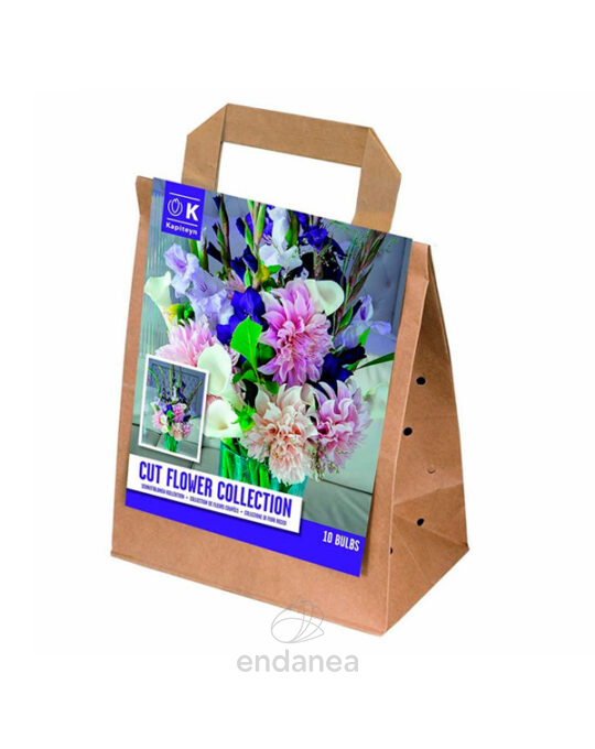bulbos-cut-flower-coleccion-flor-para-cortar
