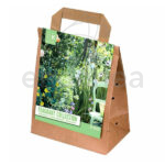 Bulbos Colección Aromáticas