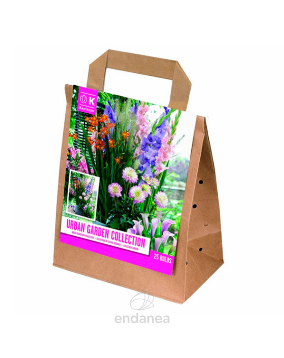 Bulbos Colección Jardín Urbano