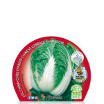 Col China Planta 6 unidades Fitoralia etiqueta