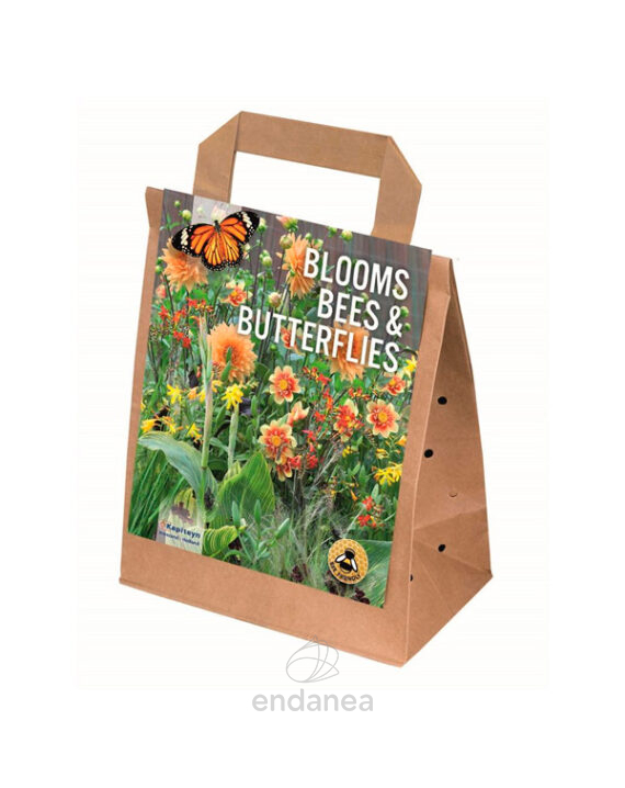 Bulbos Floración, Abejas & Mariposas color Salmón - Naranja