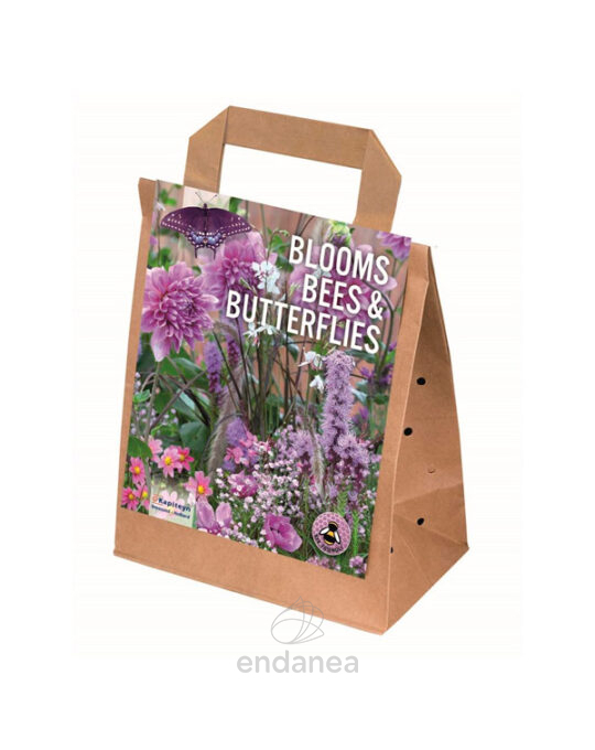 floracion-abejas-mariposas-blooms-bees-butterflies-violeta