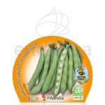 Habas Planta 6 unidades Planta Hortícola
