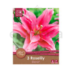 Bulbo Lirio Roselily Elena