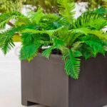 Maceta de Resina Narciso NEW GARDEN Gris