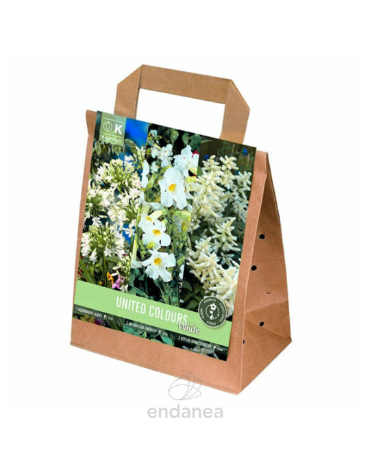 trio-pack-united-colours-blanco-bulbos-primavera