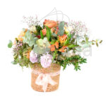 Flores para Nacimiento en Cesta