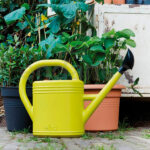 Regadera Elho® Green Basics Amarilla Exterior
