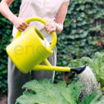 Regadera Elho® Green Basics Amarilla Regando Jardín