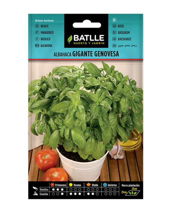 Semillas Albahaca Gigante Genovesa Batlle