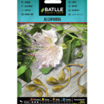 Semillas Alcaparra Batlle