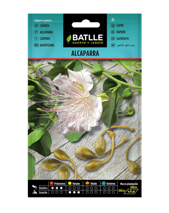 semilla-alcaparra-batlle