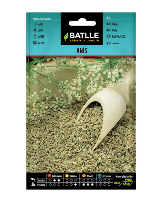 semilla-arbol-de-anis-batlle