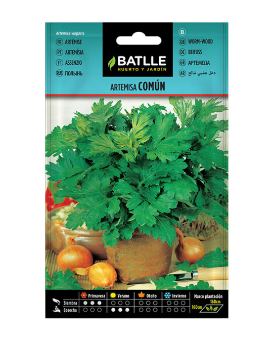 semilla-artemisa-comun-batlle