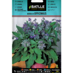 Semillas Borraja Officinalis Batlle