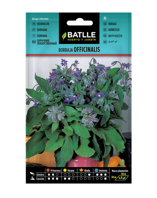 semilla-borraja-officinalis-batlle