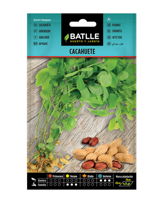 semilla-cacahuete-batlle