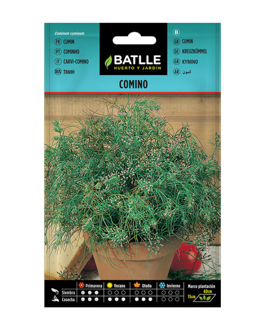 semilla-comino-batlle