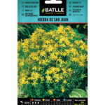 Semillas Hierba de San Juan Batlle