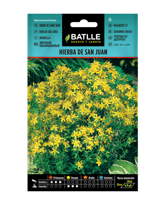 Semillas Hierba de San Juan Batlle