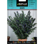 Semillas Hisopo Batlle
