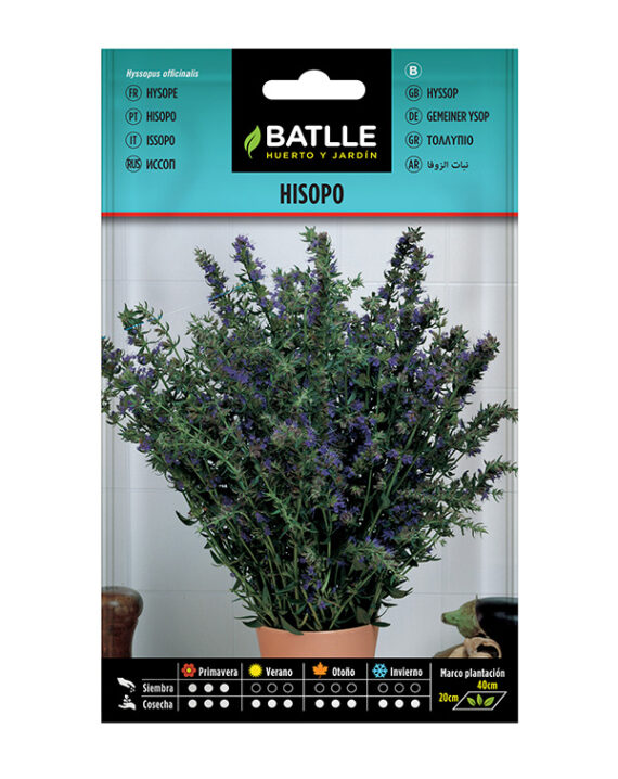 Semillas Hisopo Batlle
