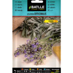 Semillas Lavanda Officinalis Batlle