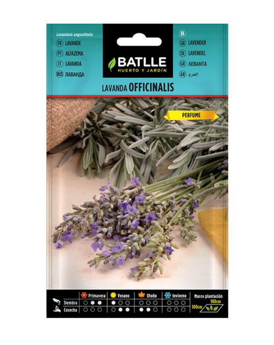 semilla-lavanda-officinalis-batlle