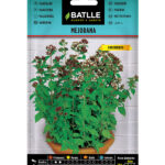Semillas Mejorana Batlle