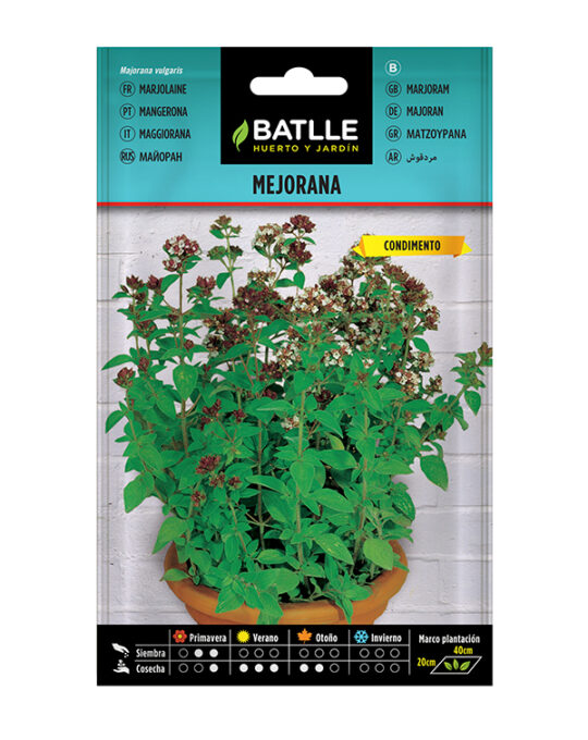semilla-mejorana-batlle