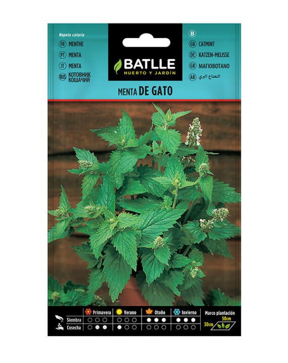 Semillas Menta de Gato Batlle