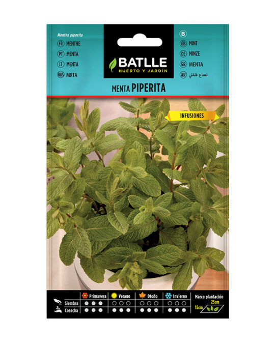 semilla-menta-piperita-batlle