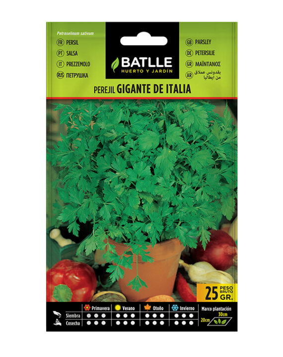 Semillas Perejil Gigante de Italia Batlle