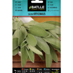 Semillas Salvia Officinalis Batlle